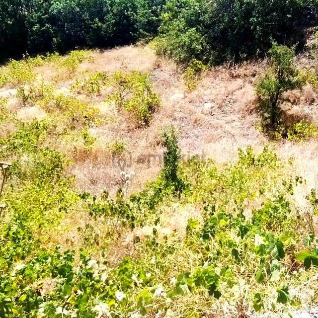 Kar Emlaktan Ömerli Köyünde 1400 M2 Satılık Bahçe 2
