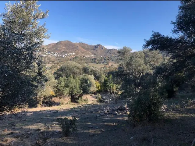 Bodrum İslamhaneleri 19000 M2 Yatırım İçin Mükemmel Fırsat 3