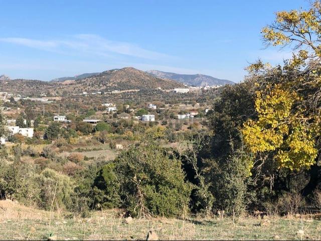 Bodrum İslamhaneleri 19000 M2 Yatırım İçin Mükemmel Fırsat 4