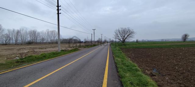 Sakarya Söğütlüde Kadastral Yola Cephelı Satılık Tarla 5