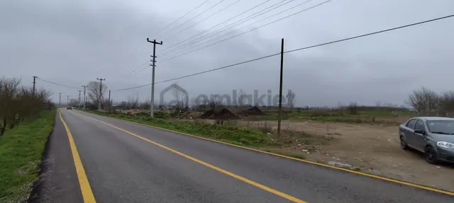 Sakarya Söğütlüde Kadastral Yola Cephelı Satılık Tarla 3