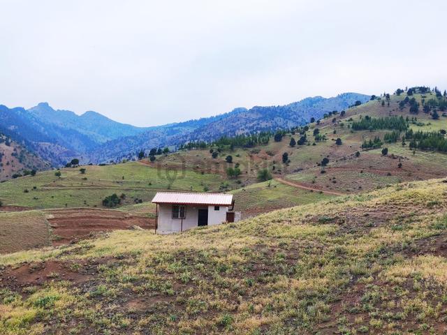 Kar Emlaktan Kamışlı Yaylasında İmara Uygun 1650 M2 Satılık Tarla 5