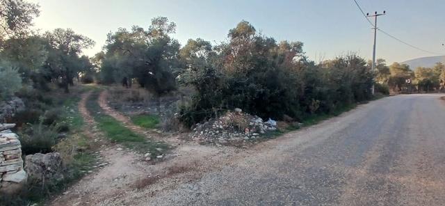Milas Söğütcük De 1122 M2 Yola Cepheli,yatırım Yaşam Fırsatı! 4
