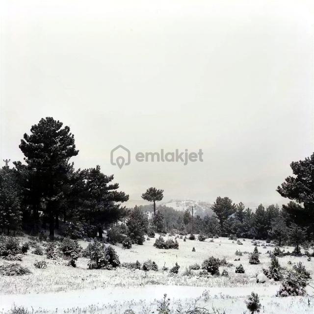 Kar Emlaktan Gökbez Yaylasında İmara Uygun 10 Dönüm Satılık Tarla 2