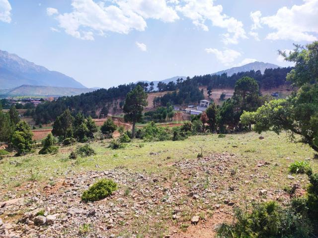 Kar Emlaktan Yenikonacık Bozkırlı Mevkiinde 500 M2 Satılık Arsa 4