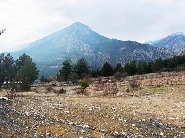 Kar Emlaktan Alpu Yaylasında 400 M2 Satılık Arsa 4