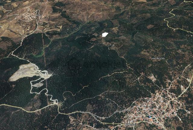 Golden Globy, Burhaniye Hacıbozlar'da Satılık 11 Dönüm Fıstık Çamlığı 3
