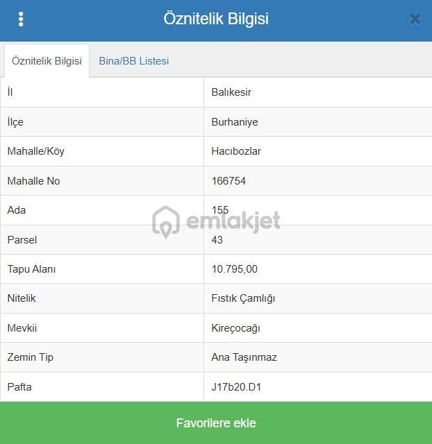 Golden Globy, Burhaniye Hacıbozlar'da Satılık 11 Dönüm Fıstık Çamlığı 2