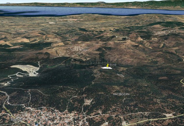 Golden Globy, Burhaniye Hacıbozlar'da Satılık 11 Dönüm Fıstık Çamlığı Golden Globy, Burhaniye Hacıbozlar'da Satılık 11 Dönüm Fıstık Çamlığı