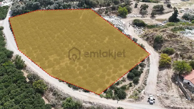 İzmir Menderes Özdere'de Plaja 100 M Köşe Parsel Tek Tapulu 9.727m² Satılık Tarla 2