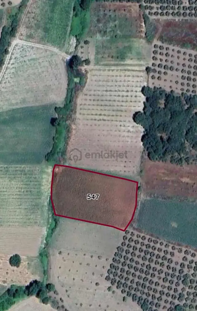Bursa Nilüfer Büyükbalıklı 3.850 M2 Yatırımlık Satılık Tarla 4