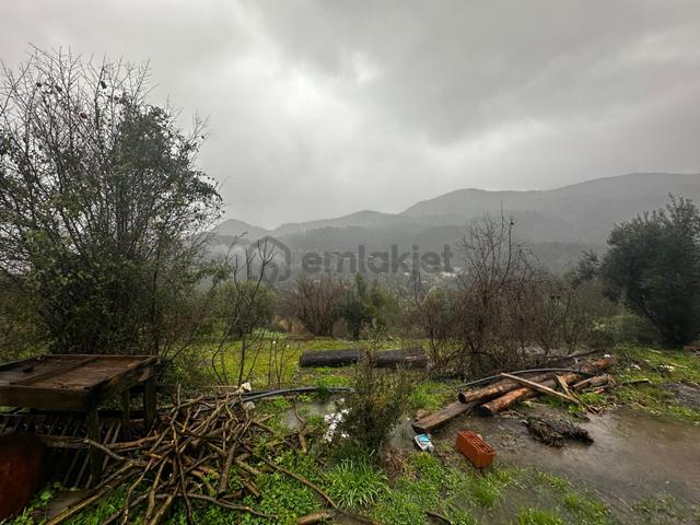 Muğla Dalaman Gürleyik'te Satılık Tarla 2