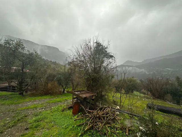 Muğla Dalaman Gürleyik'te Satılık Tarla 1