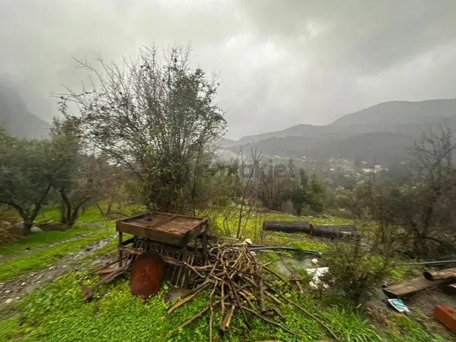 Muğla Dalaman Gürleyik'te Satılık Tarla 5