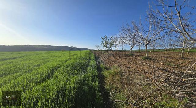 Yenişehir Alaylı'da Satılık 19.375m² İmar İçerisinde Tarla 4