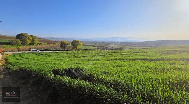 Yenişehir Alaylı'da Satılık 19.375m² İmar İçerisinde Tarla 5