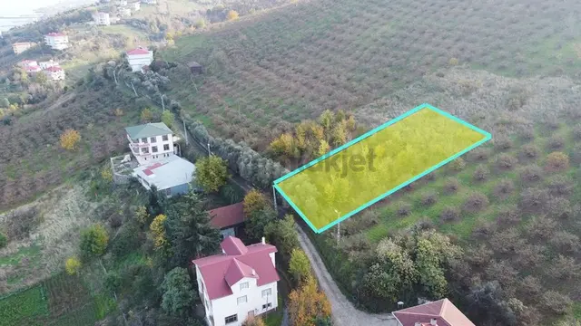 Trabzon Akçaabat Zeytinlikte Satılık Arsalar 2