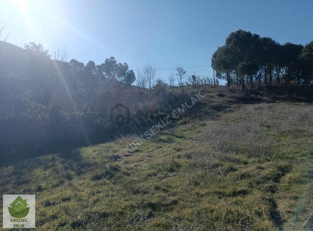 Muğla Menteşe Yerkesik'de İmar Sınırına Yakın 4.935 M² Tarla.. 5
