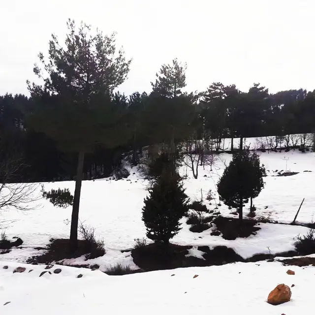 Kar Emlaktan Yeni Konacık Efes Sitesi Yanı 400 M2 Satılık Arsa 3