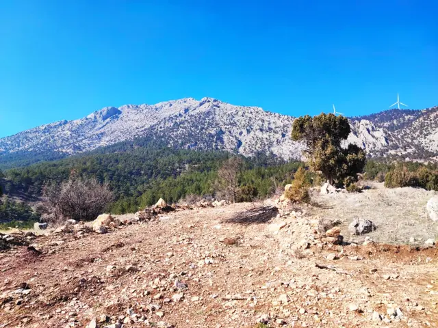 Kar Emlaktan Alpu Yaylasında 500 M2 Satılık Arsa 5
