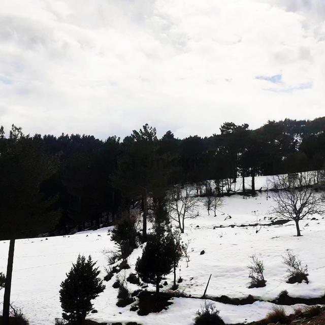 Kar Emlaktan Yeni Konacık Efes Sitesi Yanı 400 M2 Satılık Arsa 4
