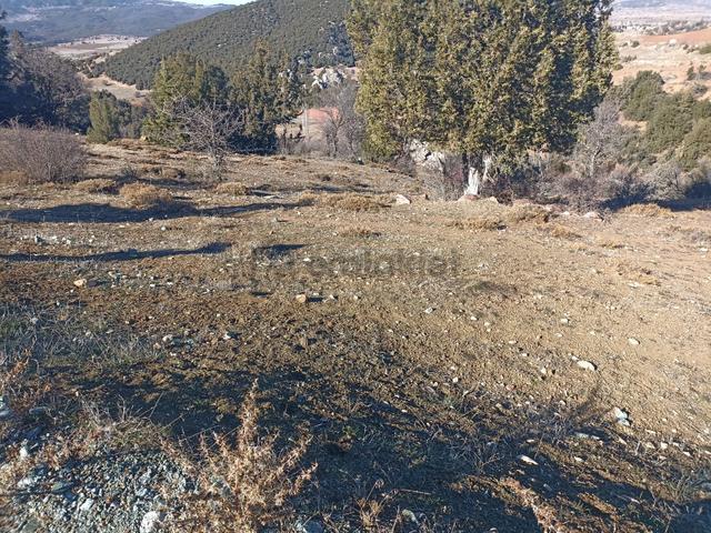 Muğla Seydikemer Boğalar Mah. Mükemmel Arazi Satışta 1952 M2 3