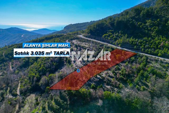 Alanya Şıhlar Köyü’nde 3.035 M² Satılık Tarla 2