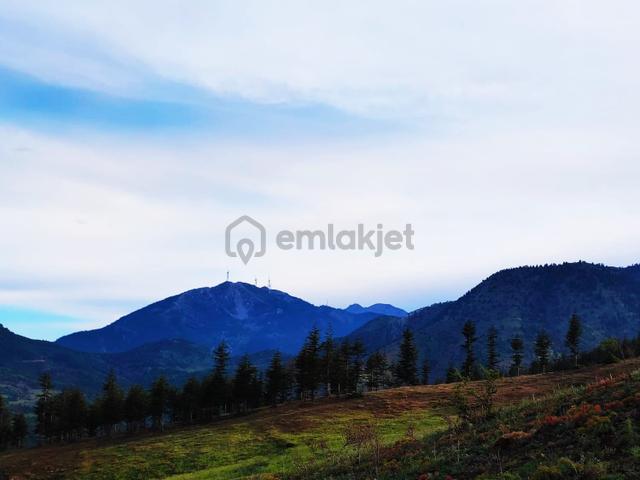 Kar Emlaktan Yazıcak Köyünde 600 M2 Satılık Arsa 4