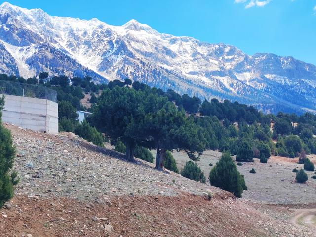 Kar Emlaktan Aşçıbekirli Fenese Mevkiinde 400 M2 Satılık Arsa 4