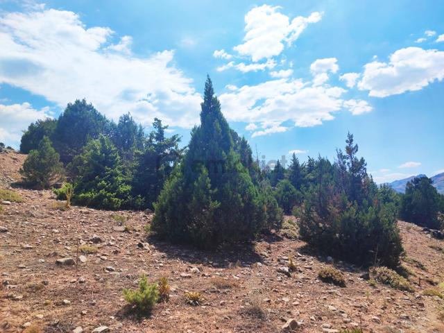 Kar Emlaktan Aşçıbekirli Fenese Mevkiinde 450 M2 Satılık Arsa 4