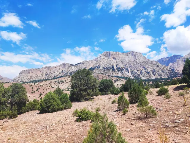 Kar Emlaktan Aşçıbekirli Fenese Mevkiinde 450 M2 Satılık Arsa 3