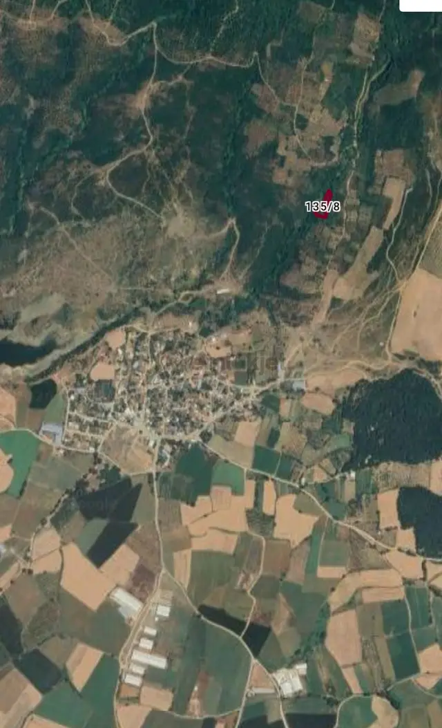 Bandırma Dedeobası Mahallesi Denize Yakın Satılık Zeytinlik 5