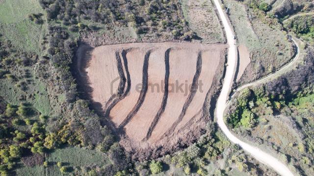 Bandırma Dutliman Mahallesi 9.486m2 Yatırımlık Tarla 5