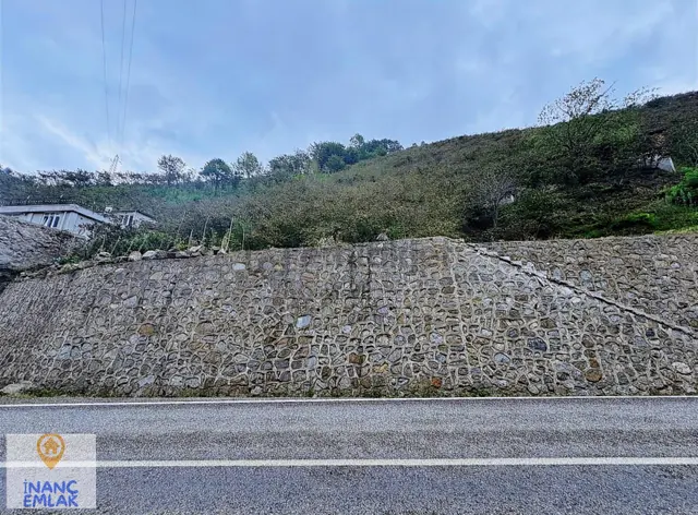 İnanç Emlaktan Uzkara Köyünde Satılık 4656 M2 Fındık Bahçesi 4