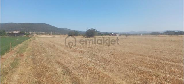 Bodrum Çamarası 5032 M2 Yola Cepheli Tarla 4
