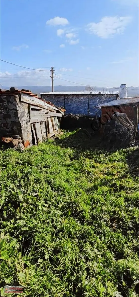 Bilginoğlu Emlaktan Dazyurt Mahallesi'nde Avlulu Ev