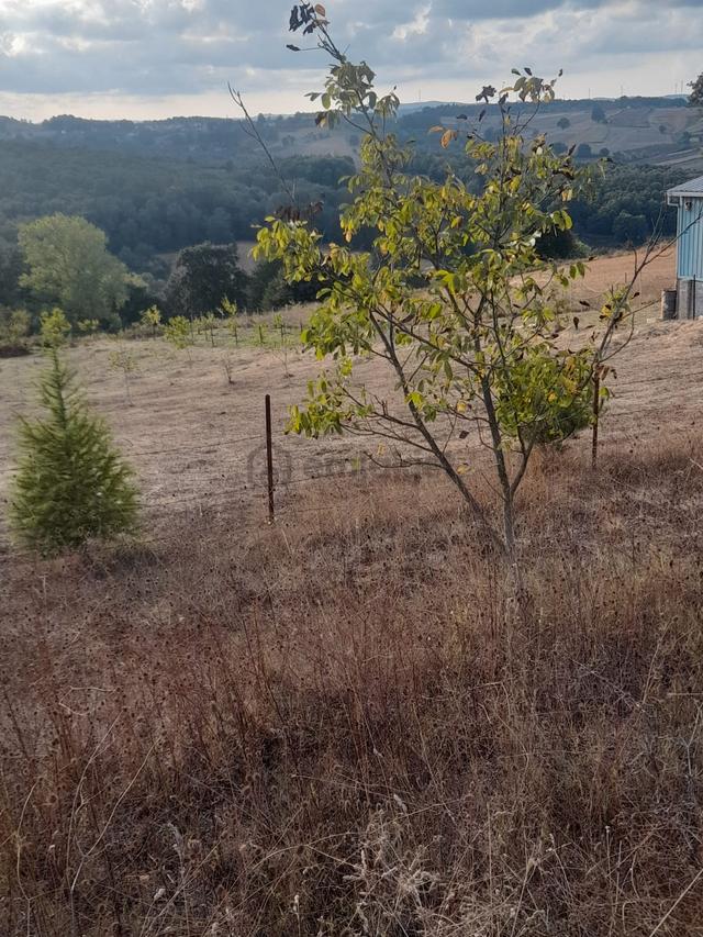 Kandıra Yusufça' Da 2140 M2 İmarlı Satılık Tarla-doğalgaz Geldi 3