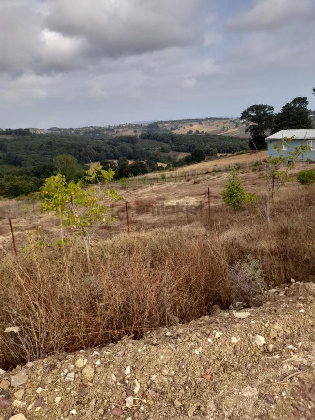 Kandıra Yusufça' Da 2140 M2 İmarlı Satılık Tarla-doğalgaz Geldi 4