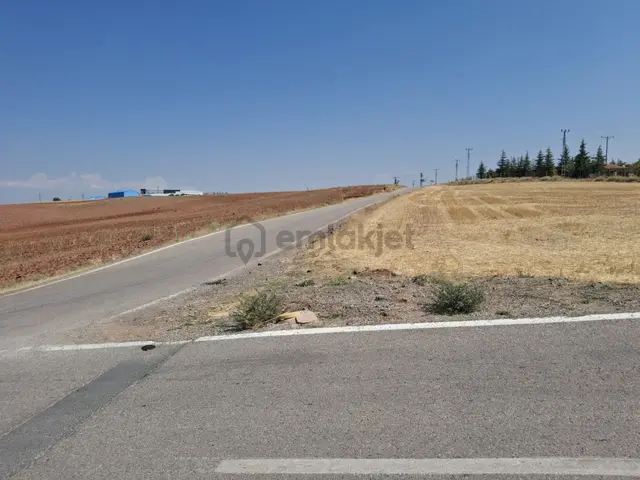 Sahibinden Kavaklı Köy İçi İmarlı Arsa 3