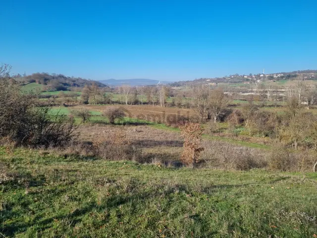 Akgün Kurumsal'dan Kavak'da Satılık 3479 M2 İki Parsel Tarla 1