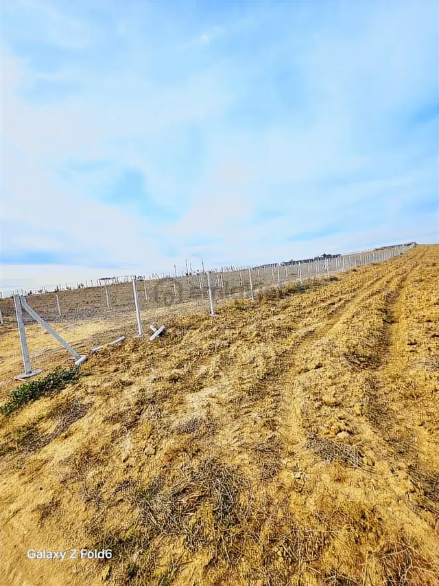 Vesile'den Etrafı Çevrili Kadastro Yola Cepheli 1100 M² 3