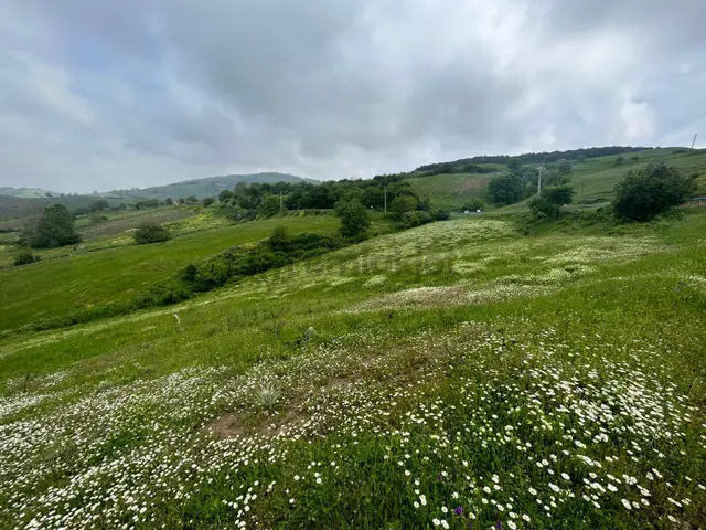 Kocaeli Karamürsel Fulacık %5 İmarlı 7470 M2 Satılık Tarla 4