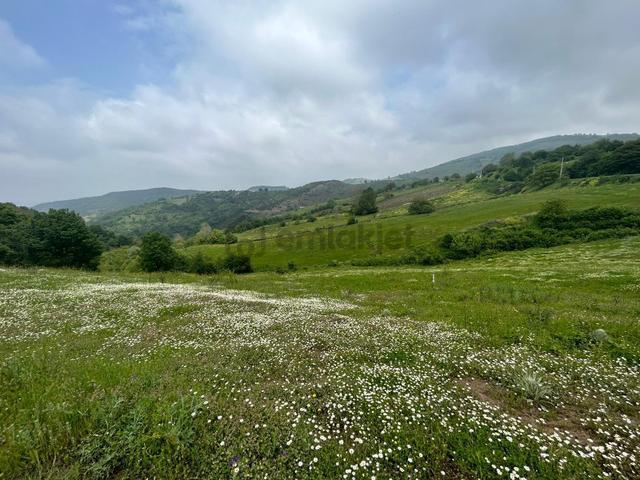 Kocaeli Karamürsel Fulacık %5 İmarlı 7470 M2 Satılık Tarla 1