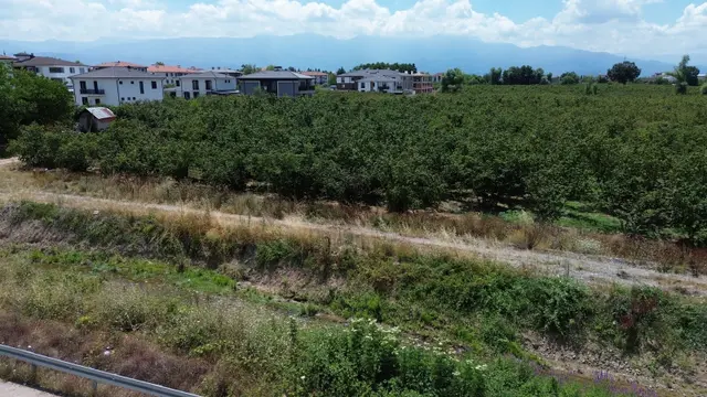 288-şekergayrimenkul Kemaliye Mah. 2.553. M2 Satılık Arsa 5