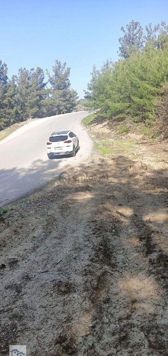 Kınık, Büyükoba Da 17 Dönüm 630 M2 Satılıktarla 5