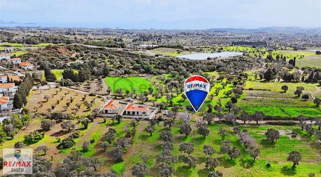 Kızlanda Denıze Yakın 500 M² Tarla | Yatırımlık Bademlık 3