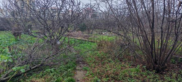 Samsun Canik. Haciismail De Vevre Yoluna Cephe Satilik 10 Kata İmar 1.40 Emsal Arsa