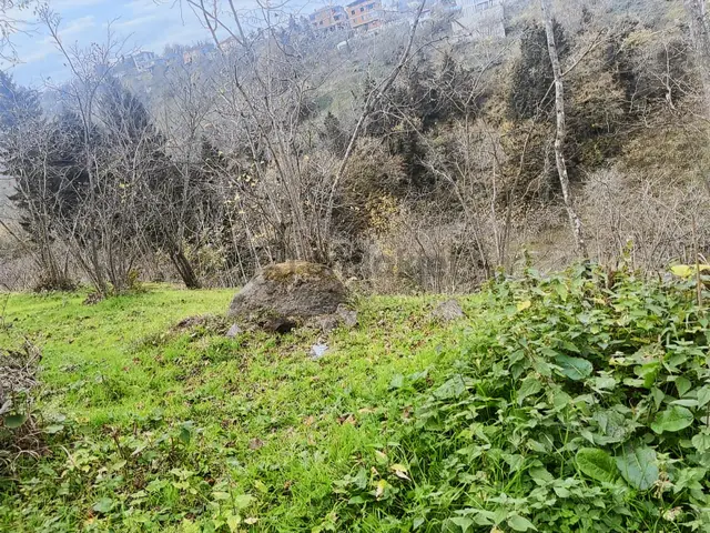 Yeşilyurt Güzel Arsa Köy Fırsat Kupon Bahçe 3