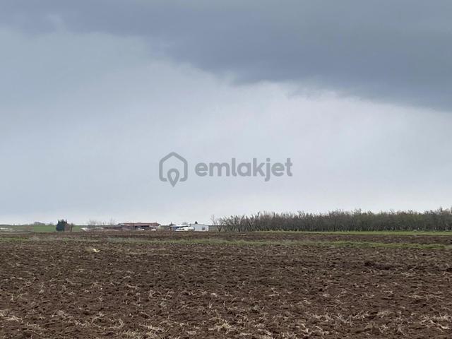 Sahibinden Tekirdağ Pınarbaşında 1530 M² Tek Tapu Tarla 4