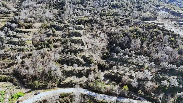 Alanya Toslak Yeniköy Mahallesinde Satılık Arsa 2